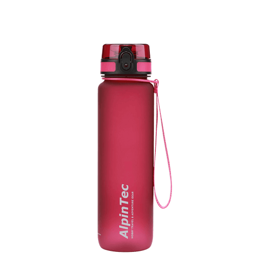 ALPINTEC ΠΑΓΟΥΡΙ 1000ml QUEST RASBERRY