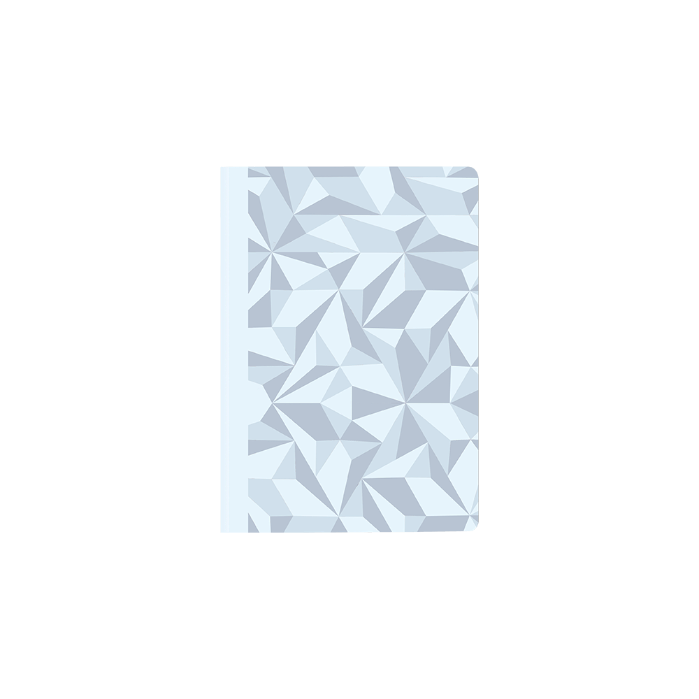 CARAN D'ACHE ΣΗΜΕΙΩΜΑΤΑΡΙΟ ΡΙΓΕ A5 90gsm ALPINE FROST