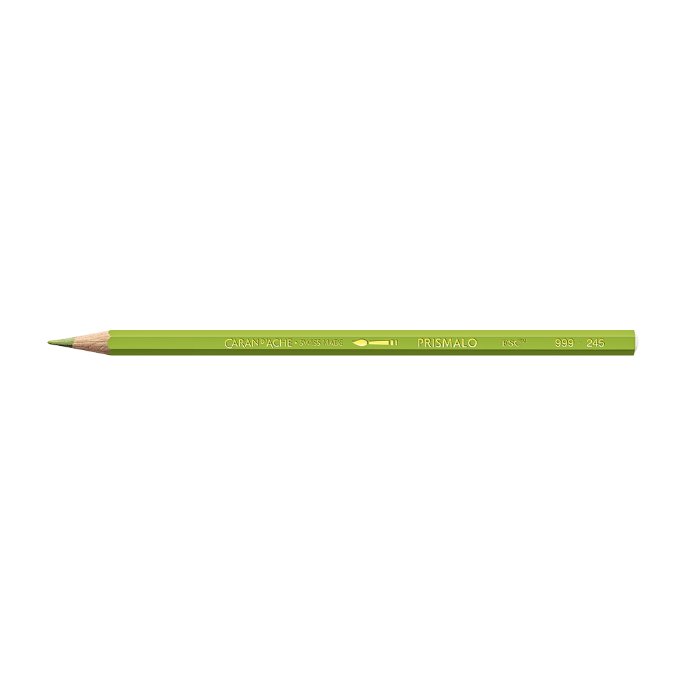 LIGHT OLIVE