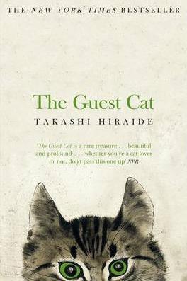 THE GUEST CAT